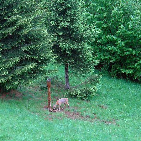 Kod Korita Rooms Црни-Луг Экстерьер фото